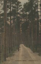 Cathedral Drive, Lakewood, NJ Postcard