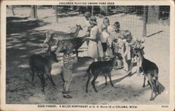 Children Playing Among Tame Deer, Deer Forest, Coloma, MI Postcard