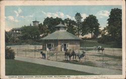 Camels, Park Mansion, Druid Hill Park Postcard