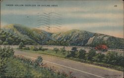 Timber Hollow Overlook on Skyline Drive Postcard