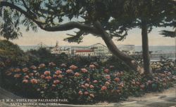 Vista from Palisades Park, Santa Monica Postcard