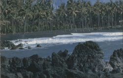 Kalapana Black Sand Beach, Hawaii Postcard