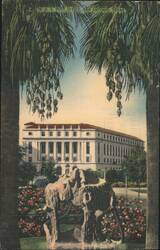 U. S. Post Office, San Antonio, Texas Postcard