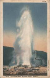 Old Faithful Geyser, Yellowstone Park Postcard