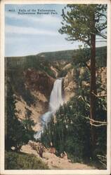 Falls of the Yellowstone, Yellowstone National Park Postcard
