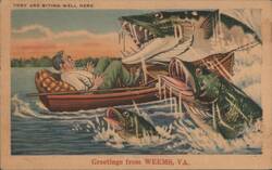 THEY ARE BITING WELL HERE. Man Attacked by Giant Fish Postcard