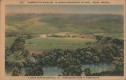 Massanutten Mountain, George Washington National Forest, Virginia Postcard