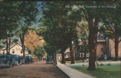 Main Street, Maplecrest in the Catskills Postcard