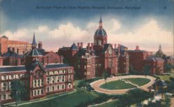 Bird's-Eye View of Johns Hopkins Hospital Postcard