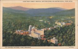 View from Tower, Medical Arts, Arlington & Park Hotels Postcard