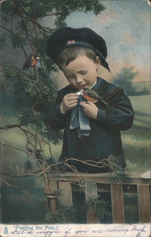 Feeding the Pets Boy in Sailor Hat with Robins Birds