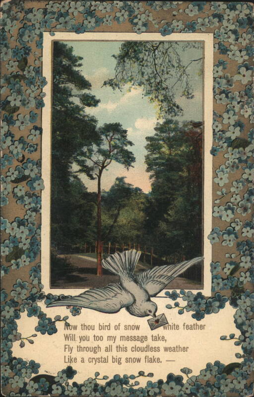 Bird of Snow White Feather Carrying Message in Forest