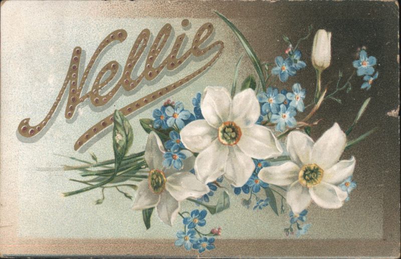 Nellie Name Card with Daffodils and Forget-Me-Nots