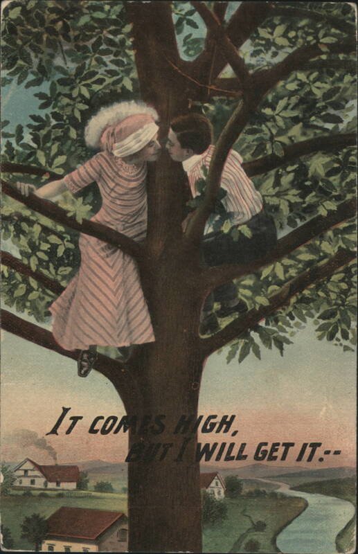 Couple in Tree It Comes High, But I Will Get It Couples
