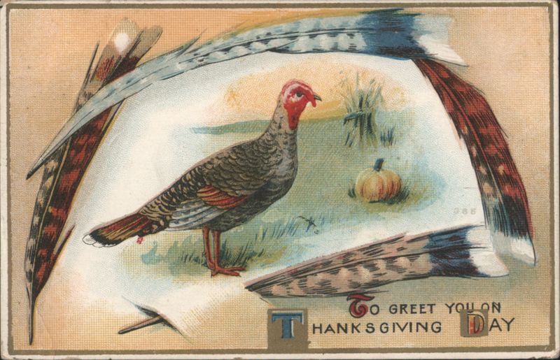 Thanksgiving Greeting with Turkey, Pumpkin and Feathers