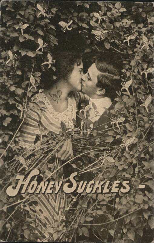 Honey Suckles - Couple Kissing in Honeysuckle Vines