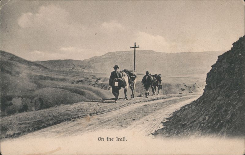 Men with Pack Horses On the Trail BC Canada British Columbia