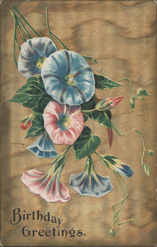 Blue and Pink Morning Glory Flowers Birthday Greetings
