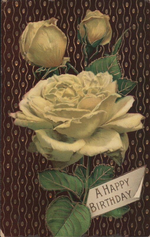 Cream Roses A Happy Birthday Greeting
