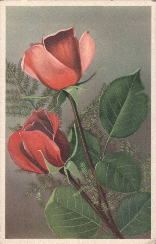 Two Red Roses with Green Foliage Flowers