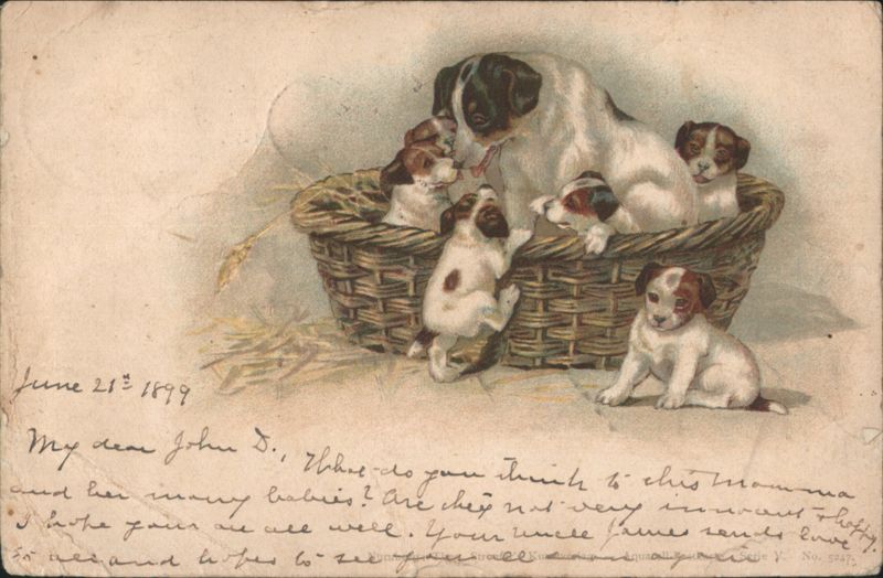 Mother Dog and Puppies in a Wicker Basket Dogs