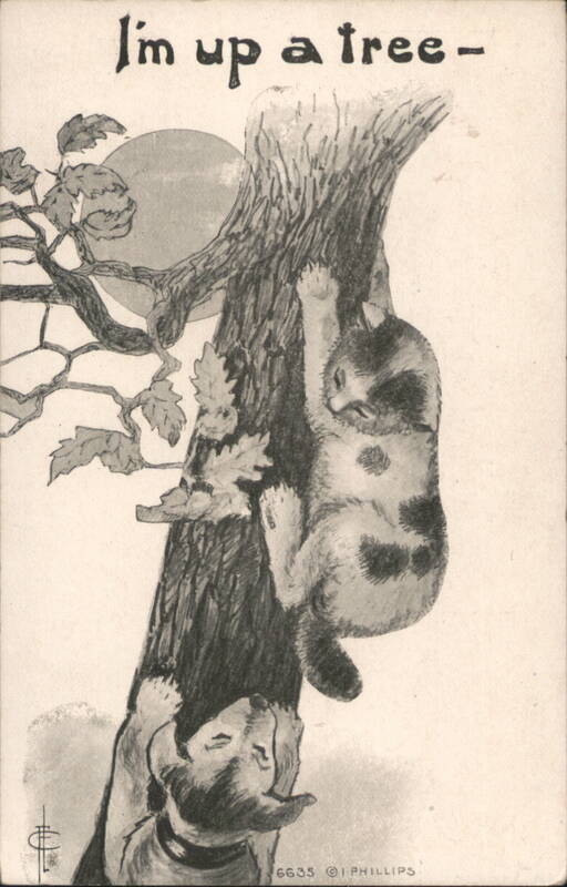 I'm Up a Tree - Cat and Dog Climbing Tree Multiple Animals