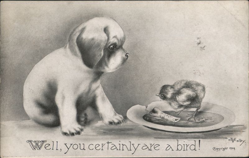 Puppy and Chick 'Well, you certainly are a bird!' Dogs