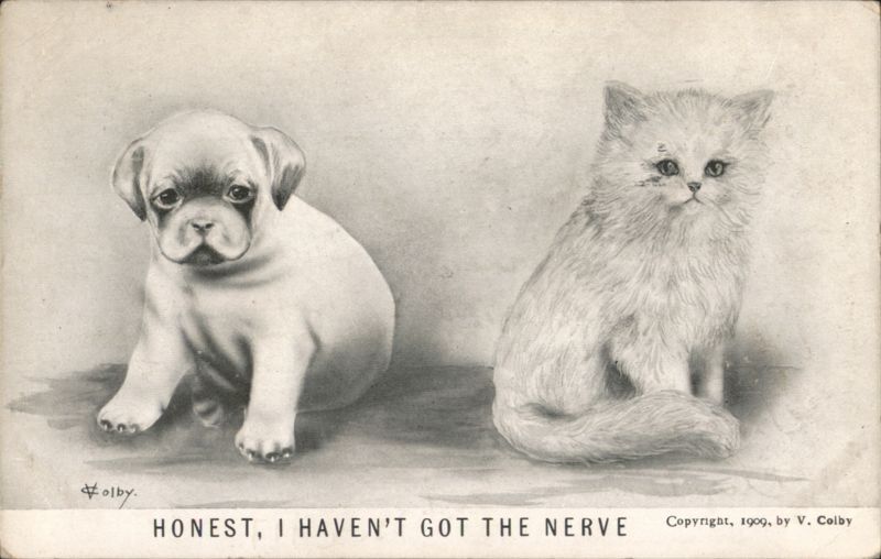 Honest, I Haven't Got the Nerve Puppy and Kitten Multiple Animals