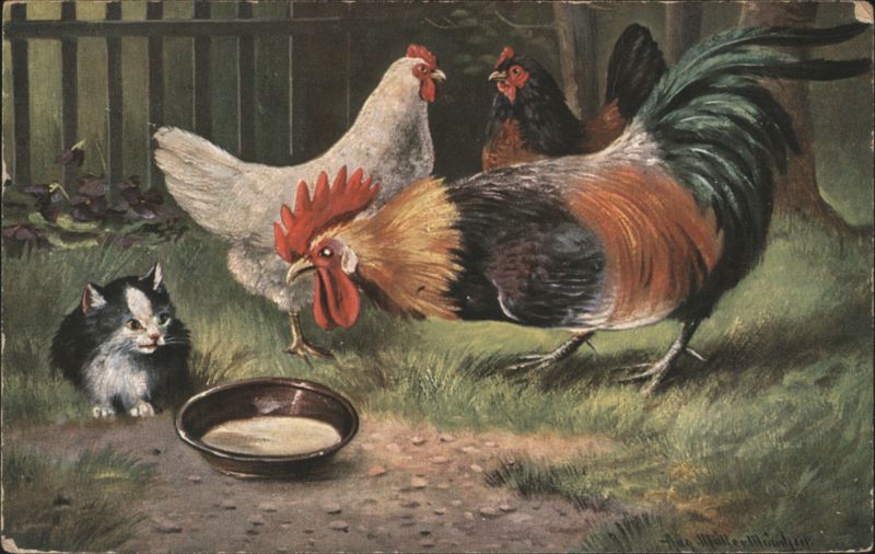 Rooster, Hens and Kitten with Bowl by August Müller
