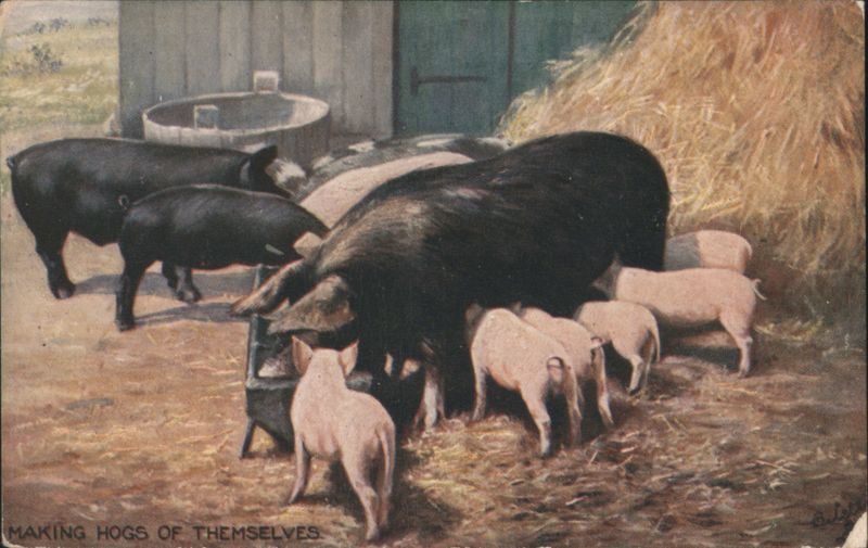 Making Hogs of Themselves - Tuck's Oilette 9397 Pigs