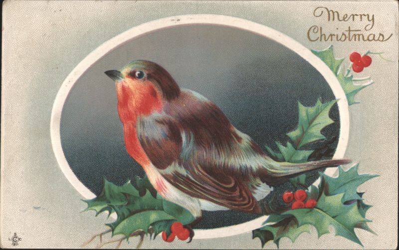 Robin Bird on Holly Branches Merry Christmas Greeting