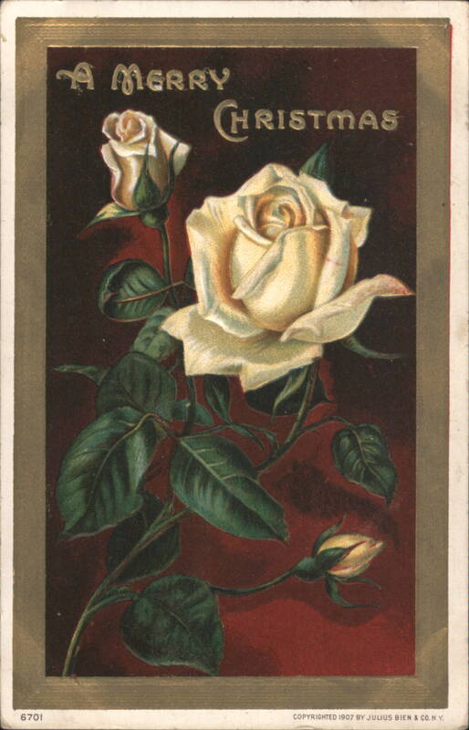 White Roses A Merry Christmas 1907 Julius Bien & Co.