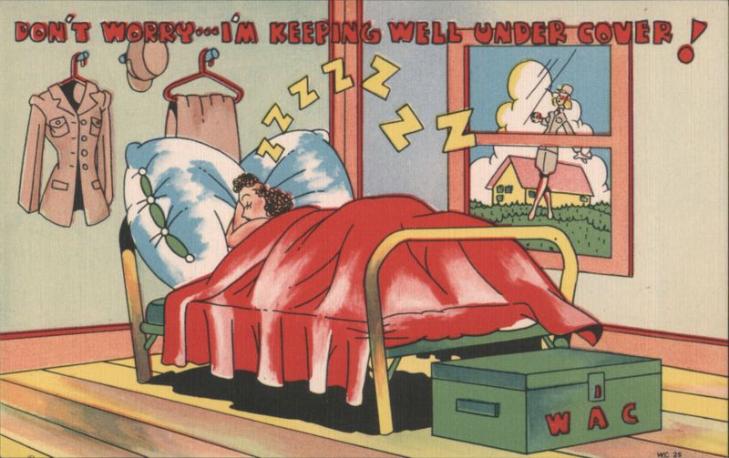 WAC Member Sleeping Under Cover Comic