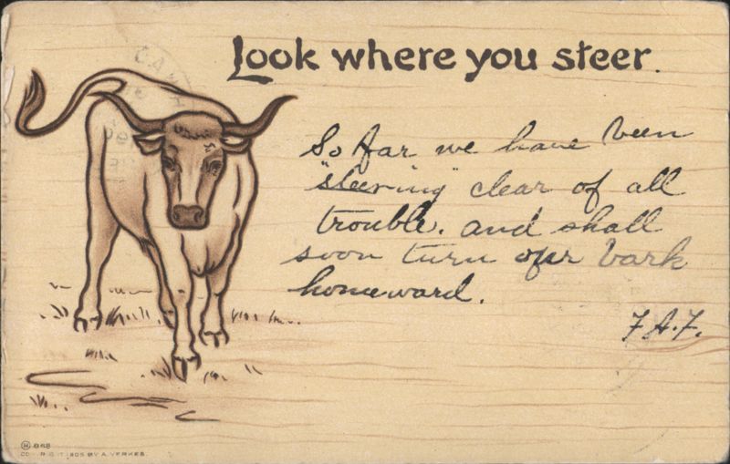 Look Where You Steer 1905 Cow Illustration by A. Yerkes
