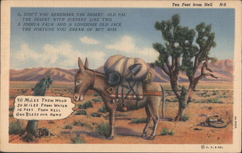 Ten Feet from Hell Burro and Joshua Tree Desert Scene