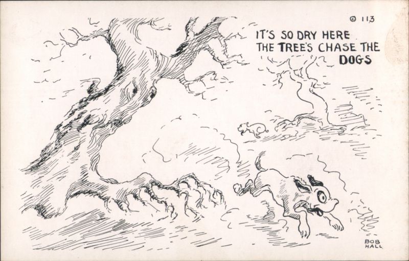 It's So Dry Here the Tree's Chase the Dogs Comic Bob Hall