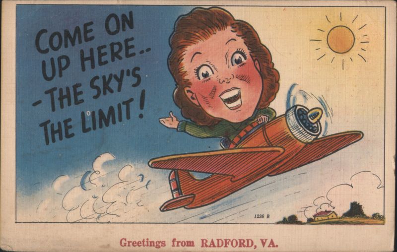 Come On Up Here.. The Sky's The Limit! Comic Airplane Radford Virginia