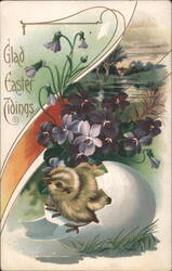 Glad Easter Tidings Chick Hatching from Egg with Violets Postcard