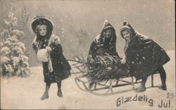 Three Girls Pulling Christmas Tree on Sled Postcard