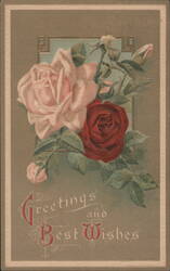 Greetings and Best Wishes Pink and Red Roses Postcard