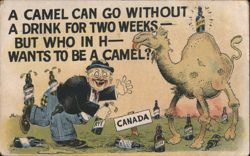 Who in H Wants to be a Camel? Prohibition Humor Postcard
