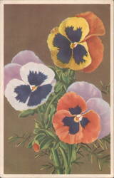 Vibrant Pansies Floral Illustration Postcard