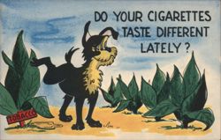 Do Your Cigarettes Taste Different Lately? Comic Dog Postcard