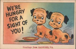 "We're Hungry for a Sight of You" Puppies, Radford, VA Postcard