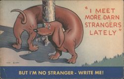 "I Meet More Darn Strangers Lately" Dachshund Comic Postcard