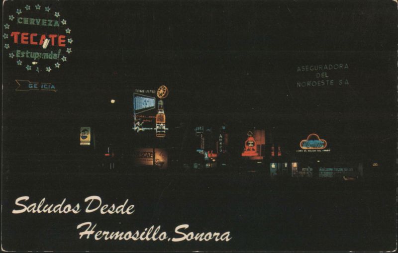 Night Scene with Neon Signs across from the Plaza Hermosillo SO Mexico