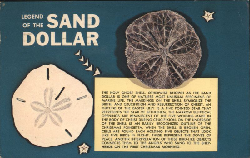 Legend of the Sand Dollar Religious Symbolism Seashells