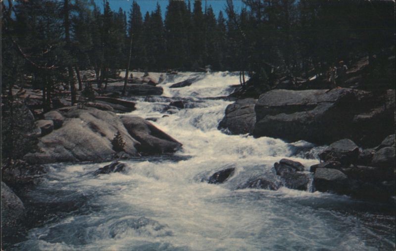 Dana Fork, Tuolumne River Cascades, Yosemite National Park California