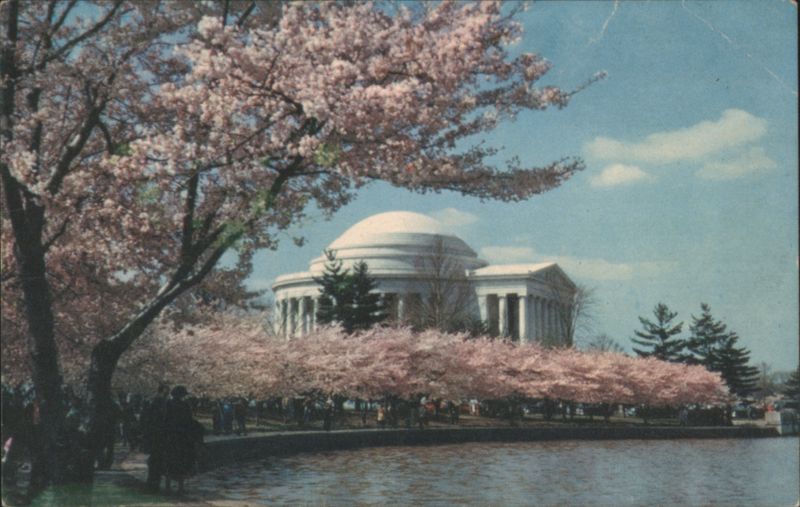 Jefferson Memorial and Cherry Blossoms in Bloom Washington District of Columbia