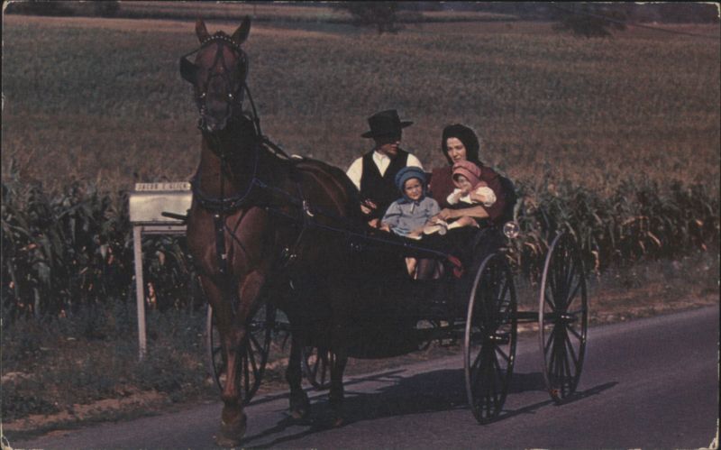 Amish Family in Horse and Buggy, Pennsylvania Dutch Country
